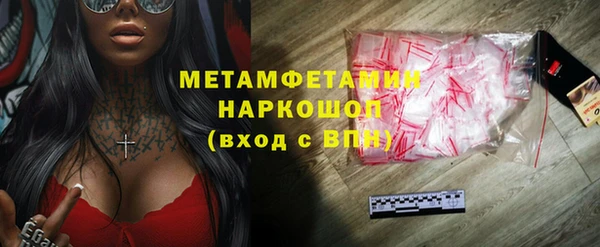 гидра Гусь-Хрустальный