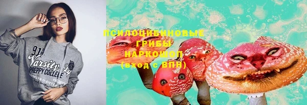гидра Гусь-Хрустальный