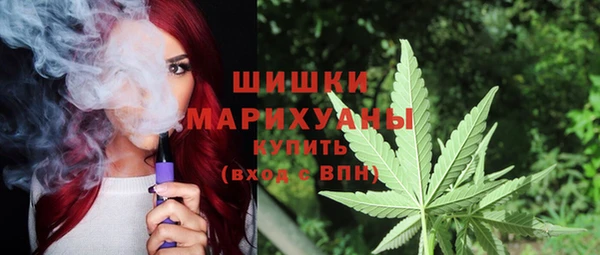 гидра Гусь-Хрустальный