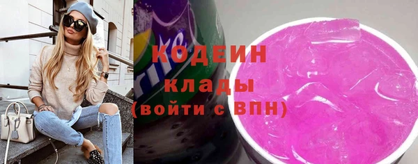 метадон Гусев