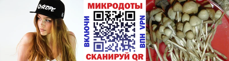 Псилоцибиновые грибы MAGIC MUSHROOMS  дарнет шоп  Сусуман 
